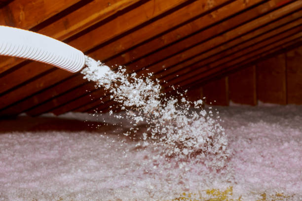 Best Commercial Insulation in Edgar, WI